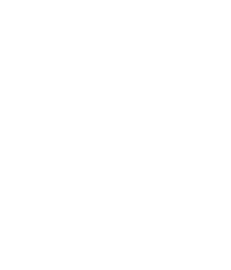 Flying Horse